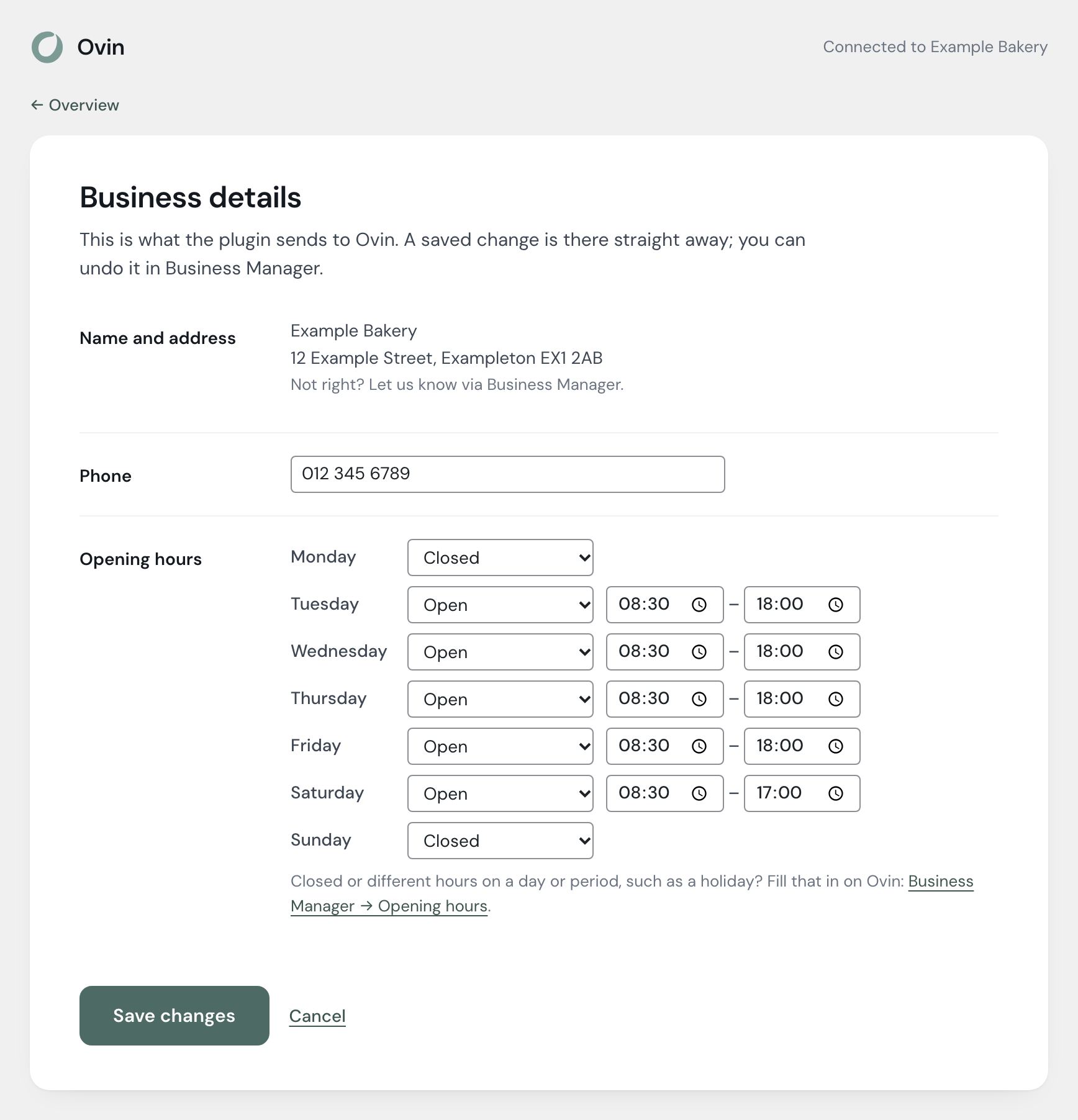 Editing business details in the plugin: phone and opening hours per day
